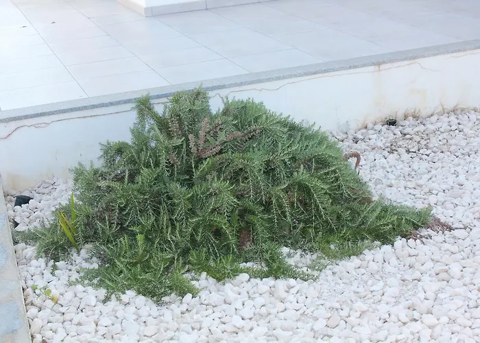 Marymina Casa vacanze