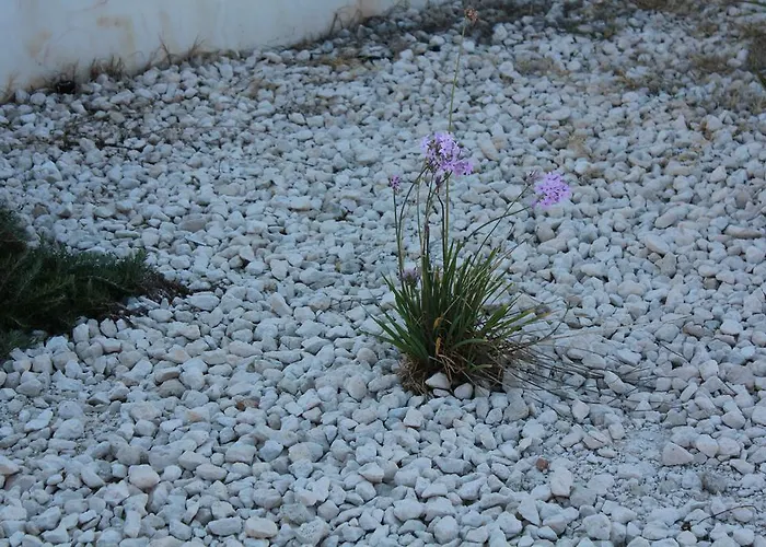 Casa vacanze Marymina *