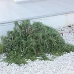 Marymina Σπίτι διακοπών