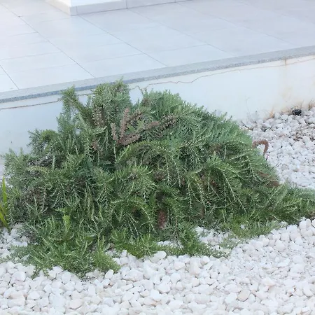 Marymina Casa vacanze