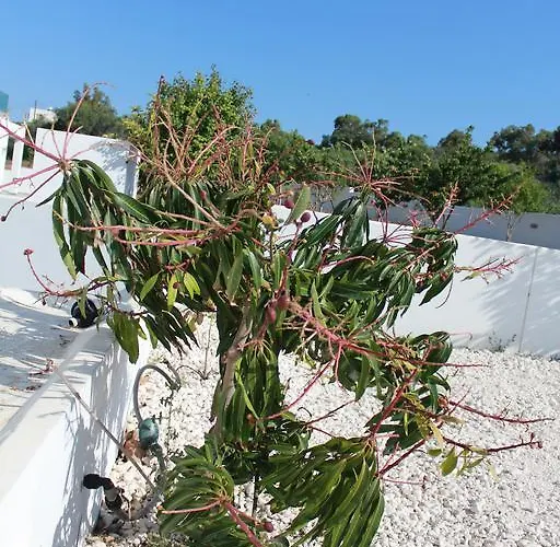 Marymina 度假居 普罗塔拉斯