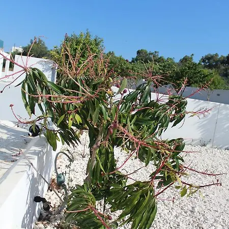 Marymina Semesterbostad Protaras